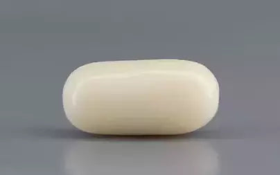 White Coral - 9.12 Carats