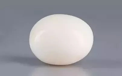 White Coral - 11.53 Carats