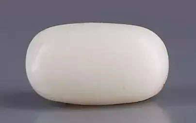 White Coral - 7.75 Carats