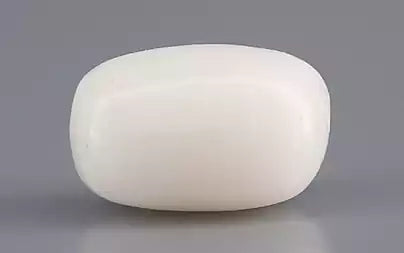 White Coral - 3.09 Carats