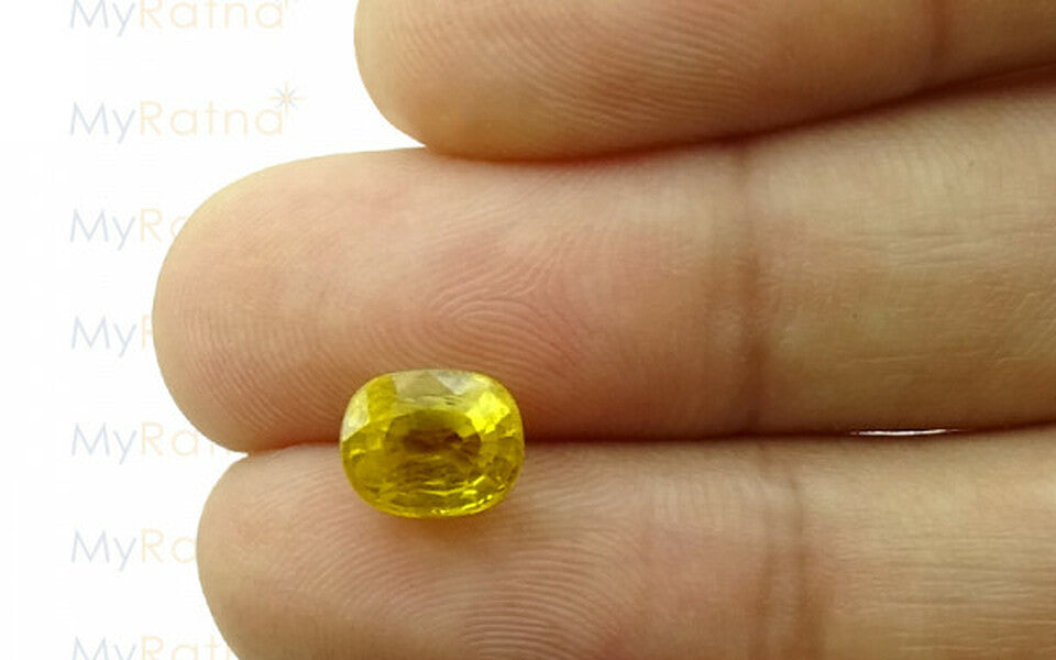 Yellow Sapphire (Pukhraj) Gemstone - 2.65 Carats